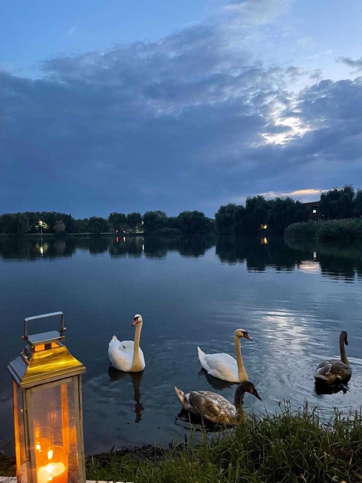 Therme - Corbeanca By The Lake Luxury Villa Ngoại thất bức ảnh